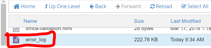 Fișierul error_log în directorul public_html