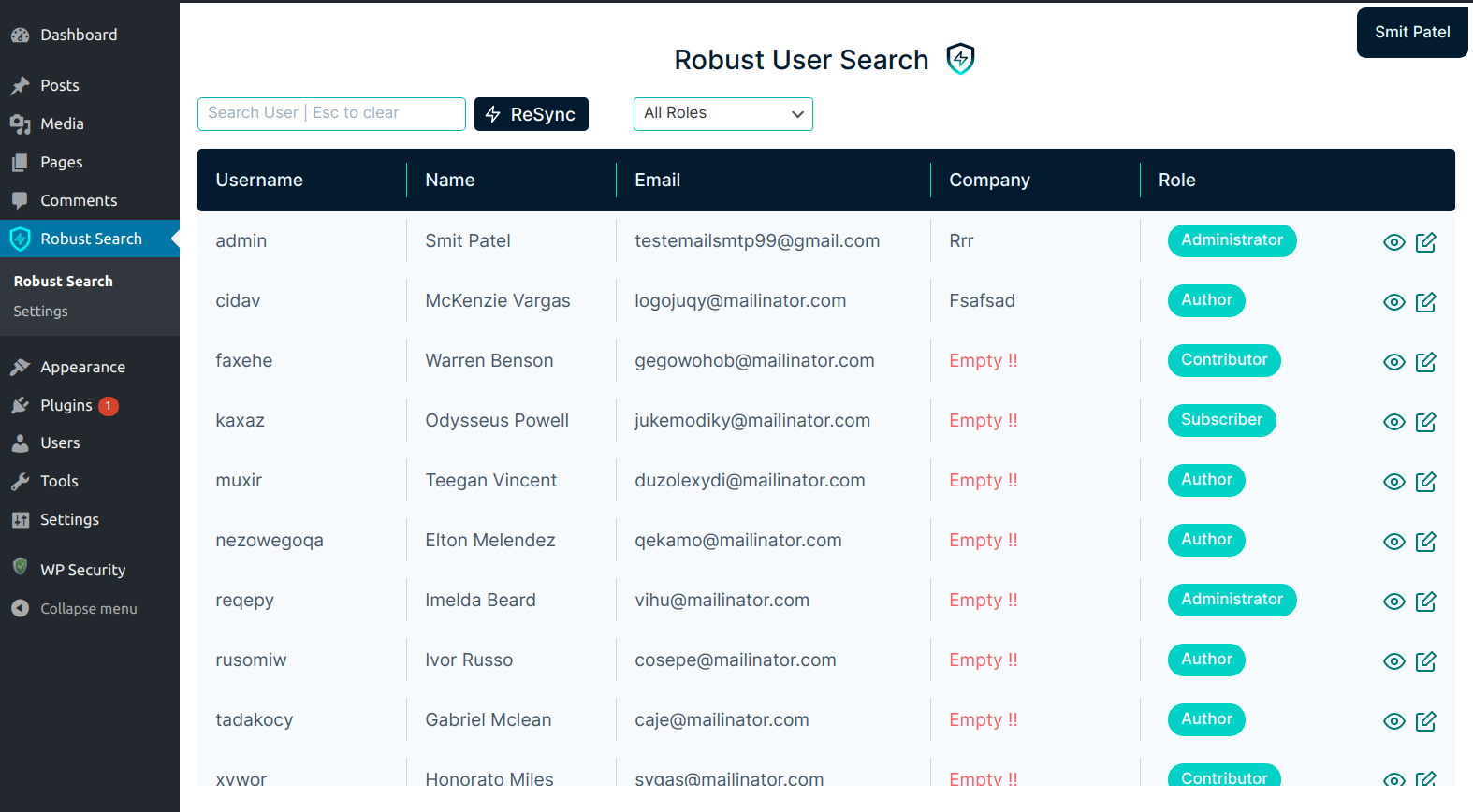 Интерфейс плагина Robust User Search