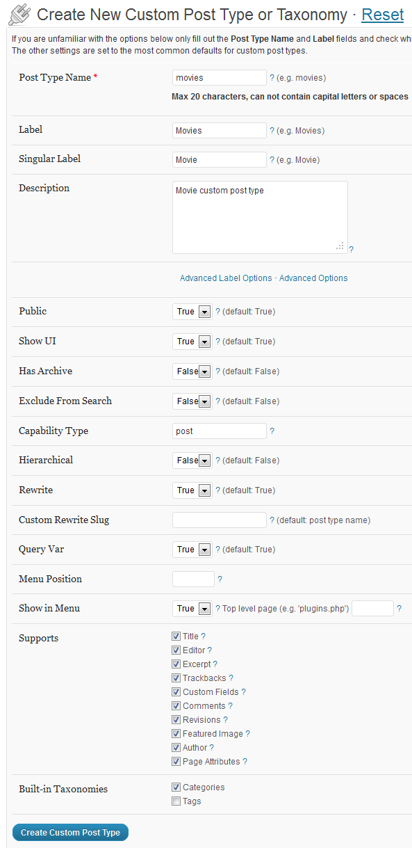 Плагин Custom Post Types UI - Настройки регистрации типа записи