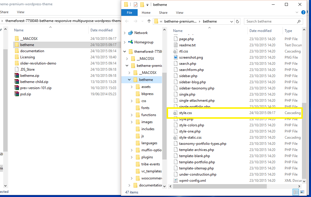 Captură de ecran care arată structura de bază a folderelor unei teme WordPress