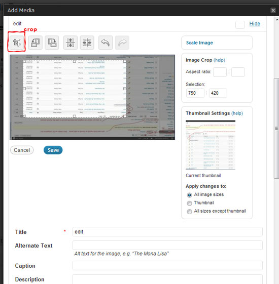 Editor immagini di WordPress con opzioni di ritaglio
