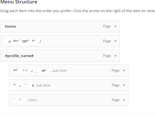 Meniu WordPress cu substituent #profile_name#