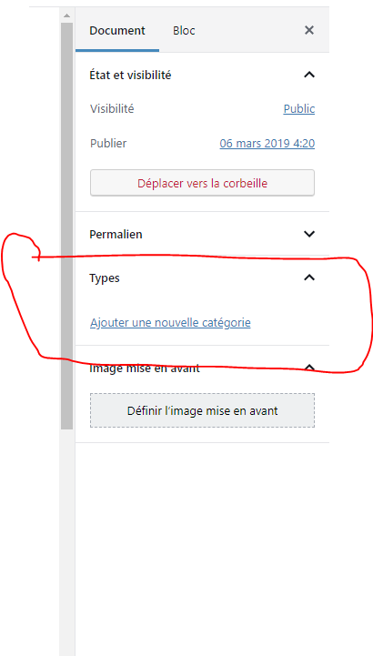 Screenshot del problema della tassonomia mancante in Gutenberg