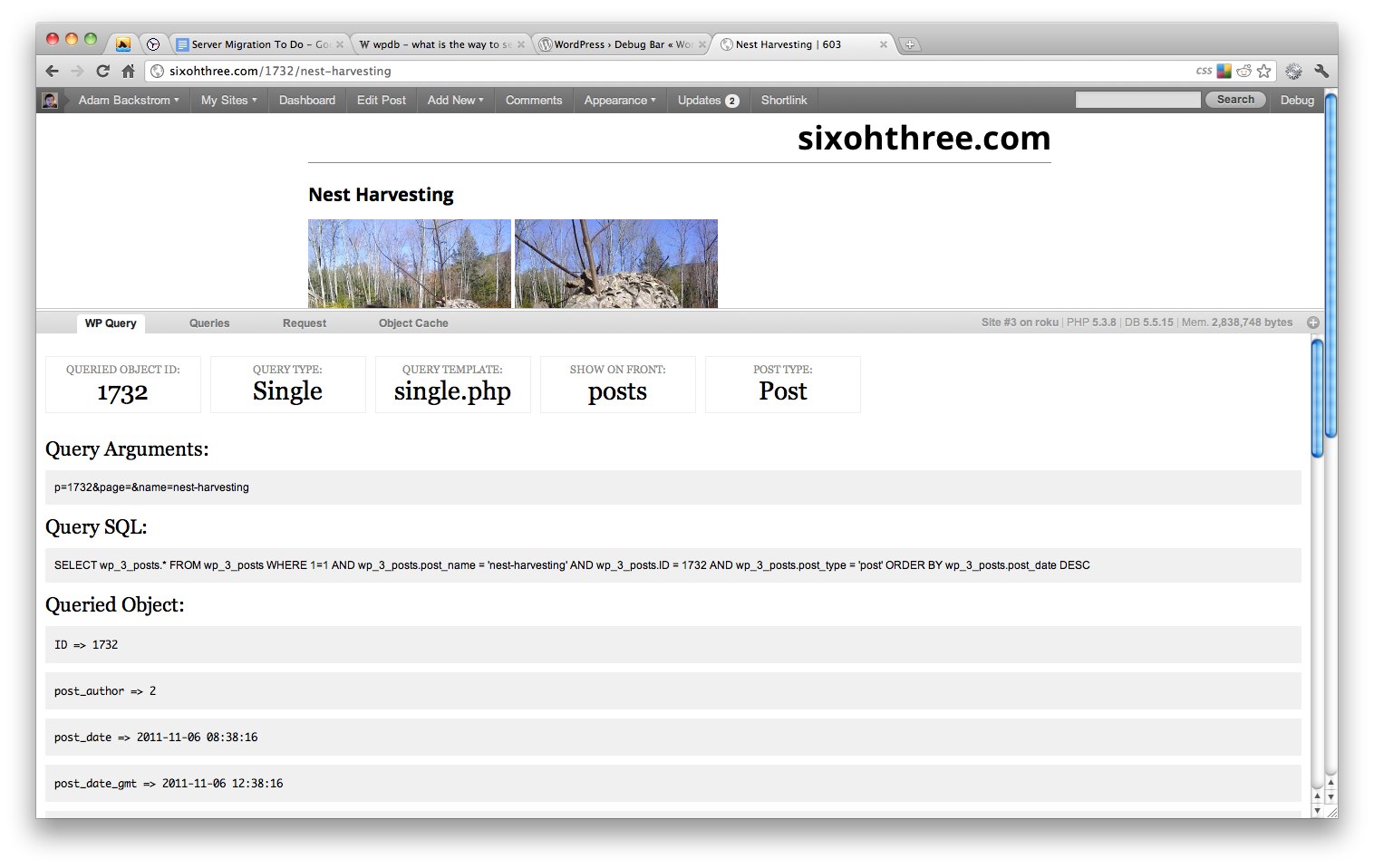 Captura de pantalla de Debug Bar ejecutándose en WordPress 3.2.1